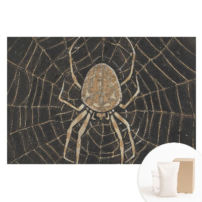Papier peint panoramique intissé Araignée dans sa toile au motif symétrique classique