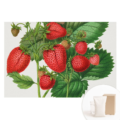 Papier peint photo grand format pour le mur Fraises sur fond vert