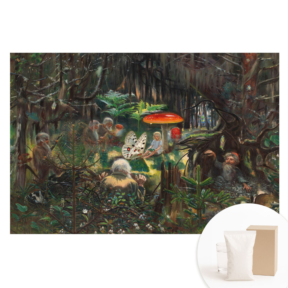 Papier peint photo sur tissu non tissé Paysage forestier dans un style magique