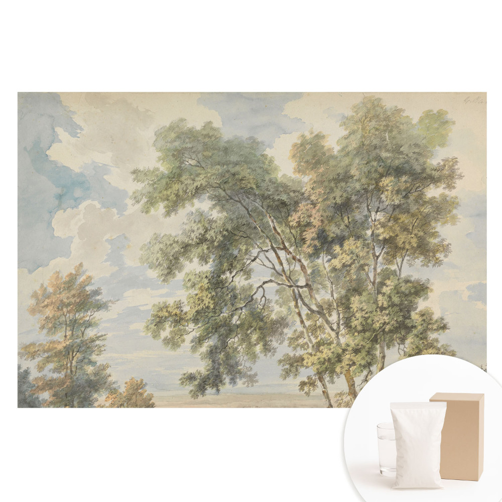Papier peint intissé paysage apaisant avec arbres et ciel