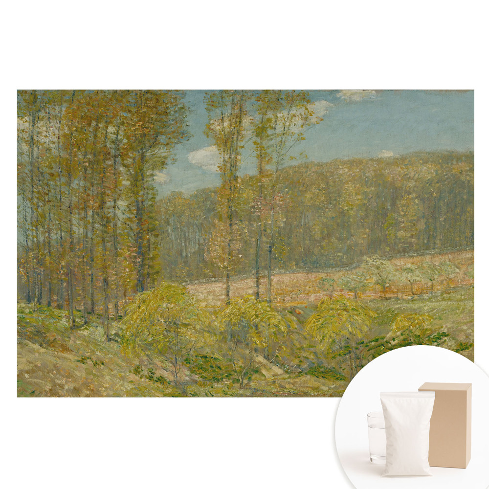 Papier peint panoramique Paysage naturel harmonieux