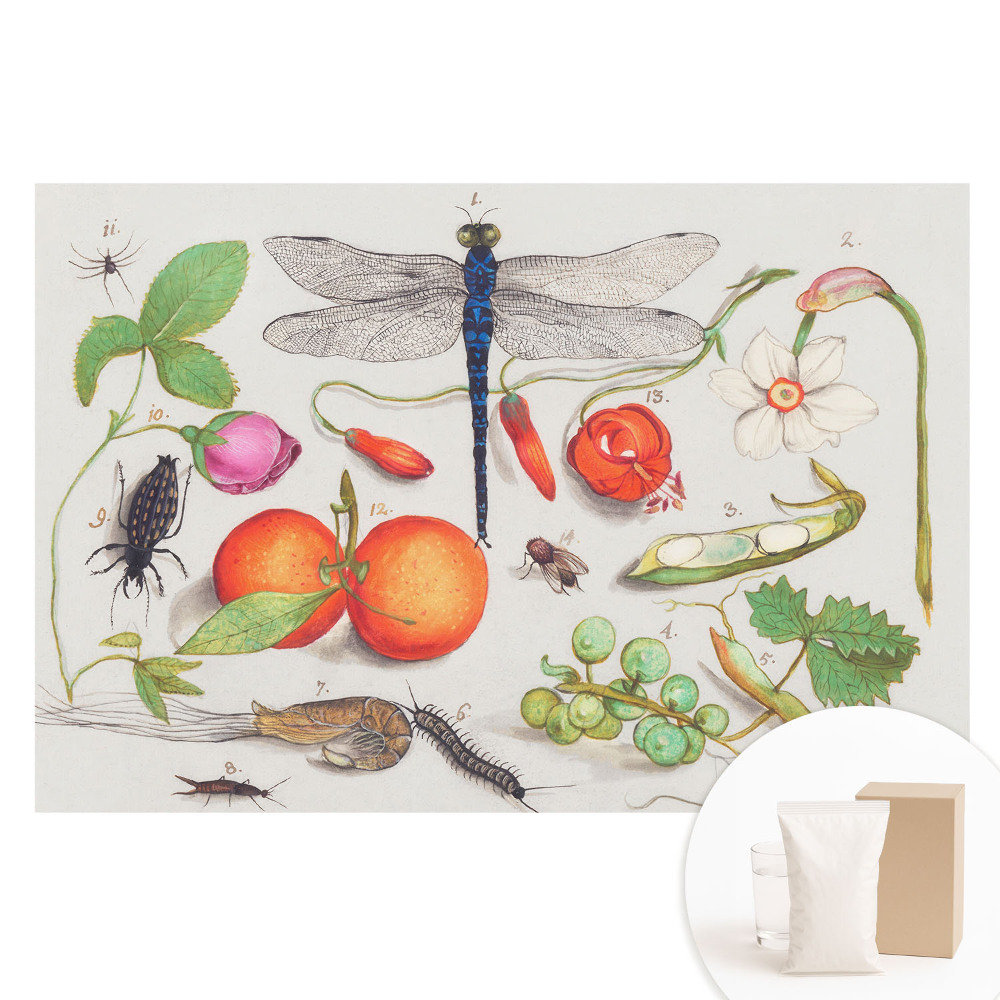 Papier peint intissé imprimé Collage botanique avec des insectes