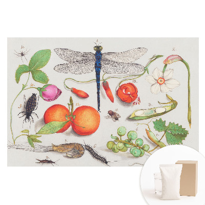 Papier peint intissé imprimé Collage botanique avec insectes