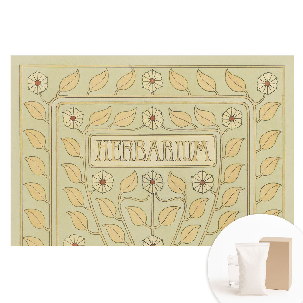 Papier peint photo grand format Herbarium motif Art nouveau