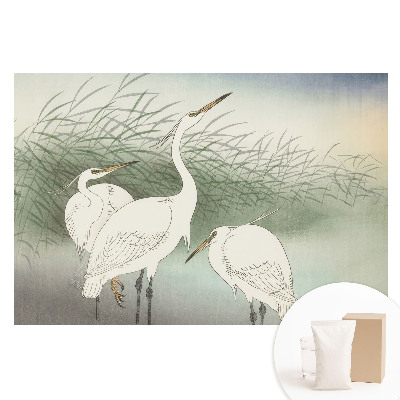 Papier peint photo sur tissu non tissé Des oiseaux délicats parmi l'herbe