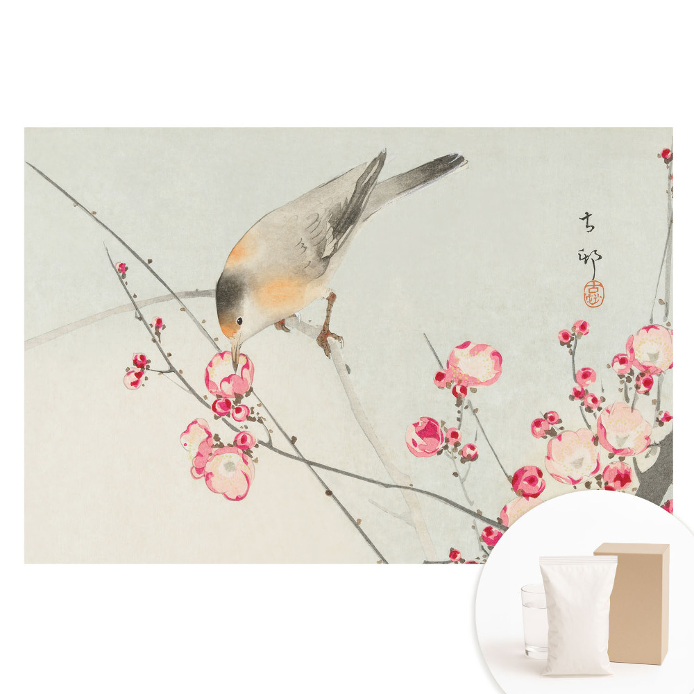 Papier peint photographique intissé Oiseaux et fleurs japonaises