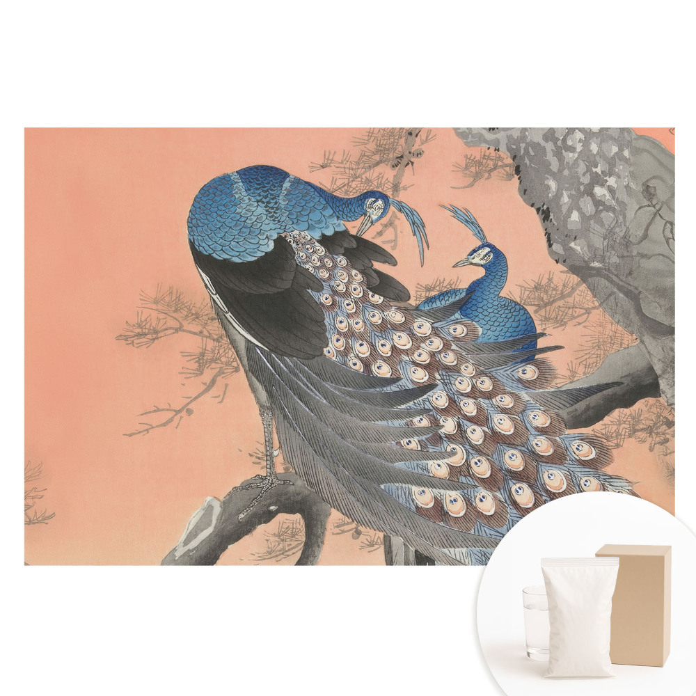 Papier peint photographique sur tissu non tissé Paons sur une branche dans un style classique