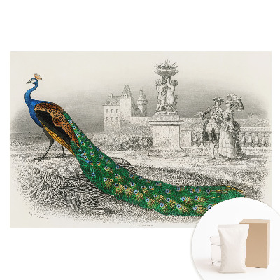 Papier peint intissé imprimé Un paon dans un jardin avec des figures baroques