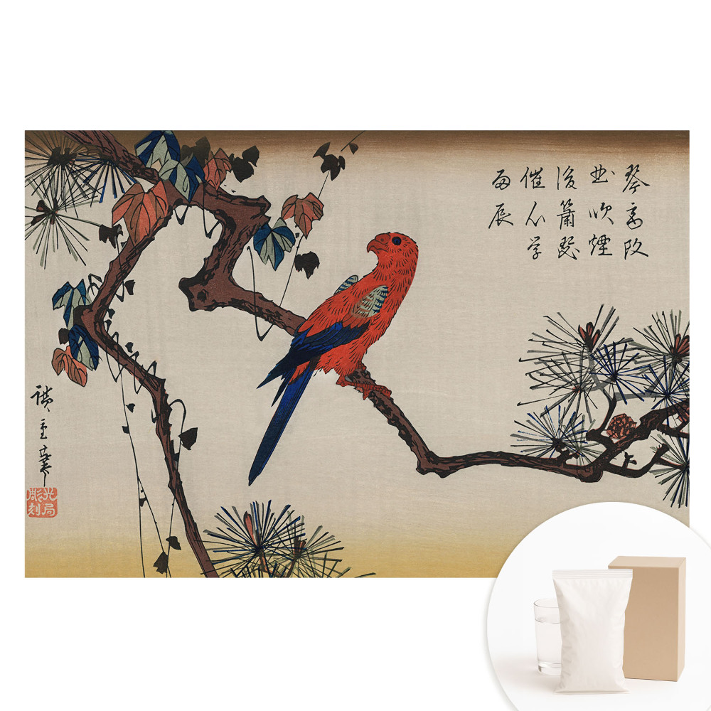 Papier peint intissé Motif oiseau coloré sur branche d'arbre