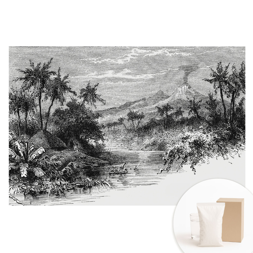 Papier peint photo grand format Gravure tropicale avec volcan