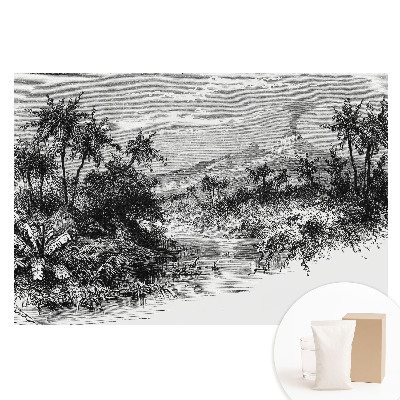 Papier peint photo grand format Gravure tropicale avec volcan