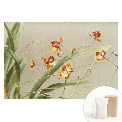 Papier peint photographique sur tissu non tissé De magnifiques orchidées sur un fond gris