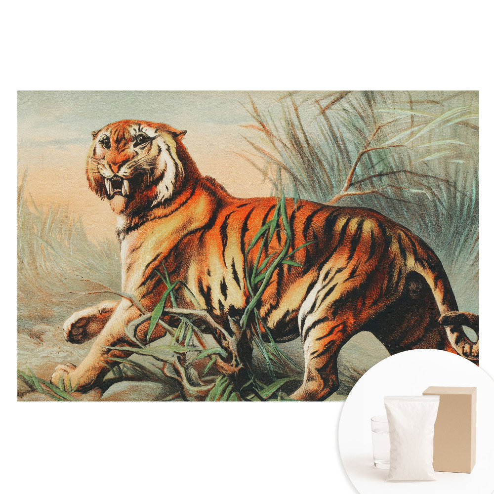 Papier peint intissé imprimé Un tigre majestueux dans un cadre sauvage