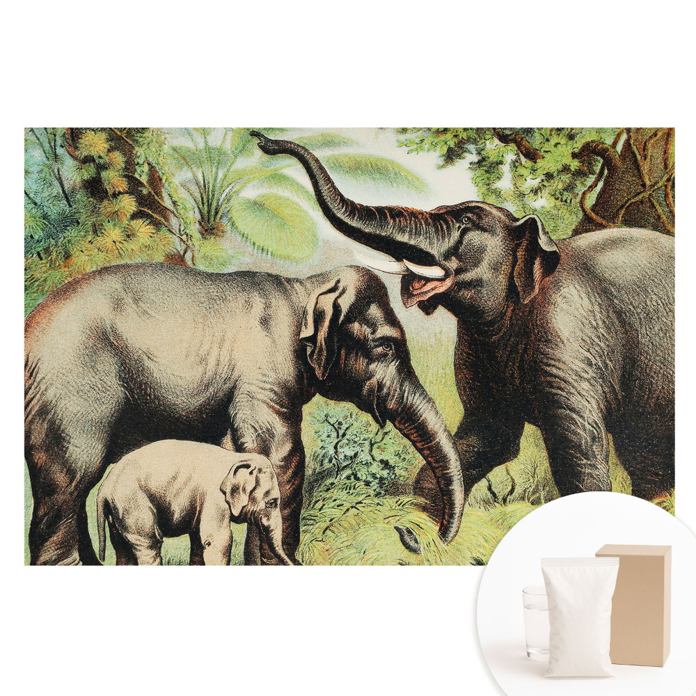 Papier peint photo imprimé sur tissu non tissé Famille d'éléphants sur fond de jungle