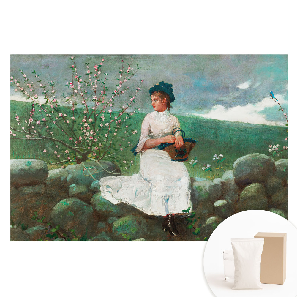 Papier peint photo grand format pour le mur Des fleurs et une fille sur le mur