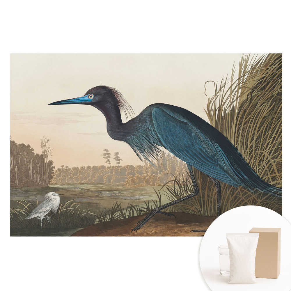 Papier peint intissé à motif de paysage d'oiseaux classique