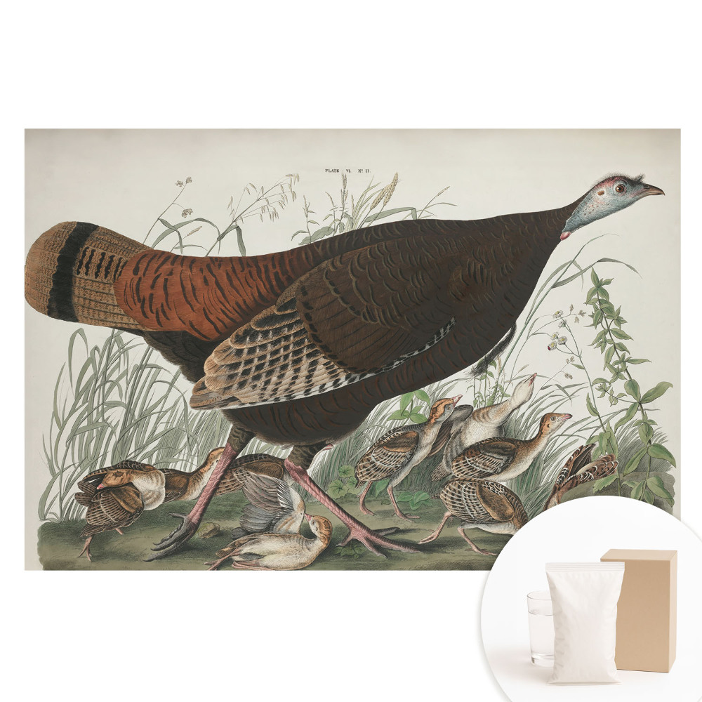 Papier peint photo imprimé sur tissu non tissé illustration naturelle de dinde sauvage