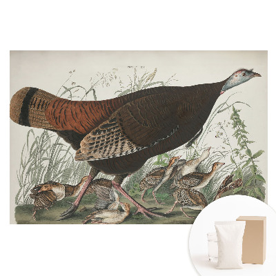 Papier peint photo imprimé sur tissu non tissé illustration naturelle de dinde sauvage