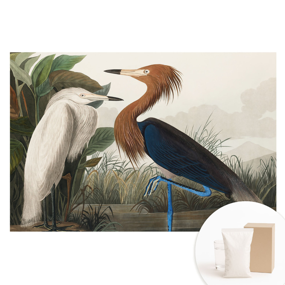 Papier peint intissé Oiseaux élégants dans la végétation
