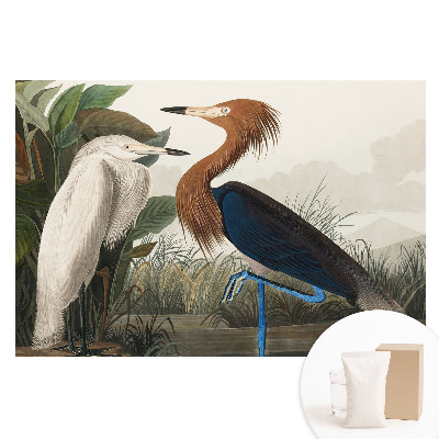 Papier peint intissé Des oiseaux élégants dans la végétation