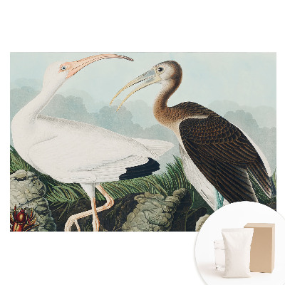 Papier peint intissé imprimé Deux oiseaux dans leur environnement naturel