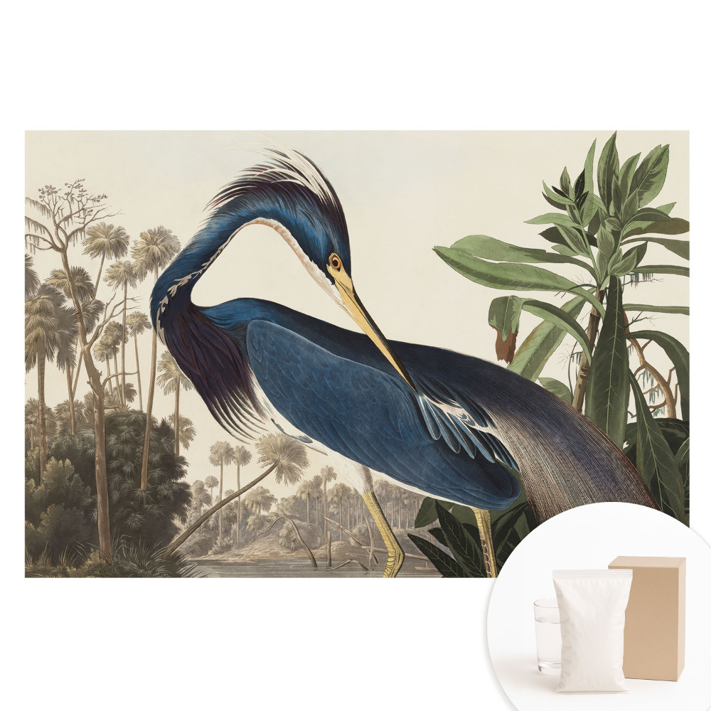 Papier peint photographique intissé Un oiseau exotique sur fond de végétation