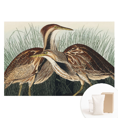 Papier peint photo grand format pour le mur Oiseaux dans l'herbe Réalisme classique Symétrie