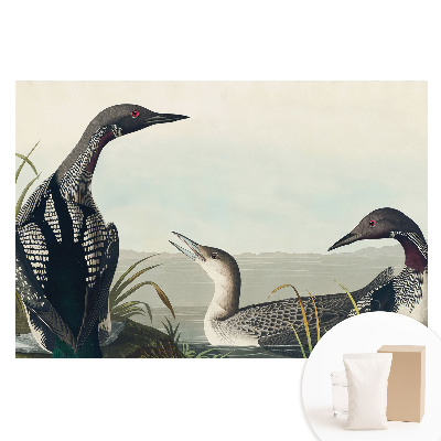 Papier peint photo imprimé sur tissu non tissé Trois oiseaux, style classique.