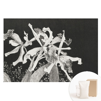 Papier peint panoramique intissé avec fleurs élégantes sur fond sombre