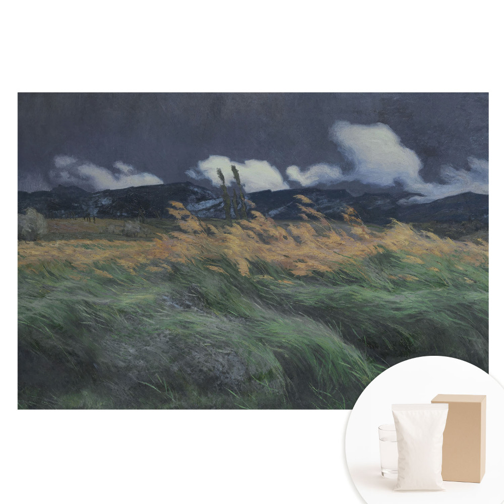 Papier peint photographique intissé Paysage avec des nuages ​​et du vent