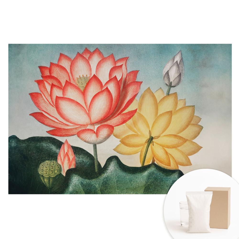 Papier peint intissé Fleurs de lotus dans un style romantique