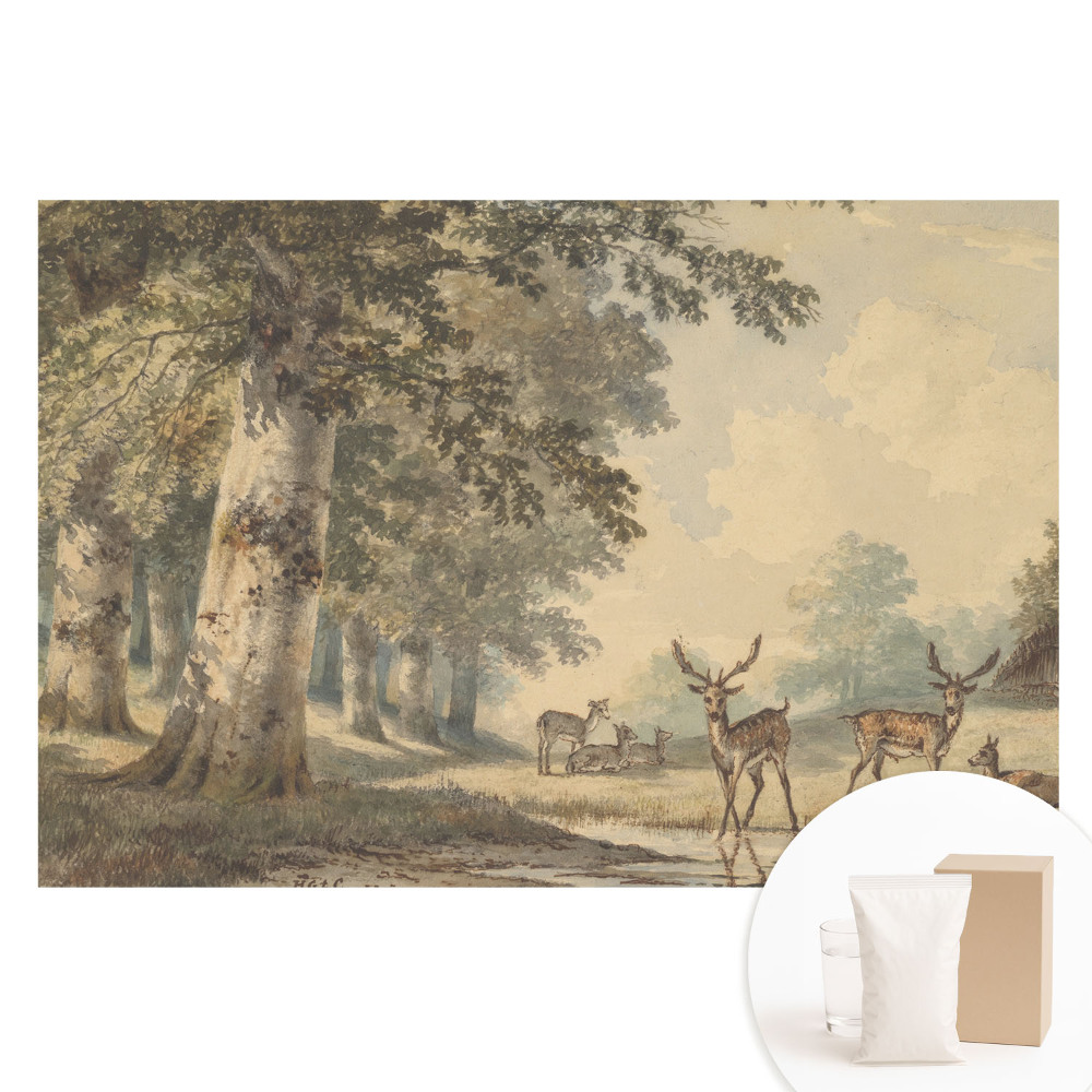 Papier peint photo imprimé sur tissu non tissé Cerfs des bois près du ruisseau