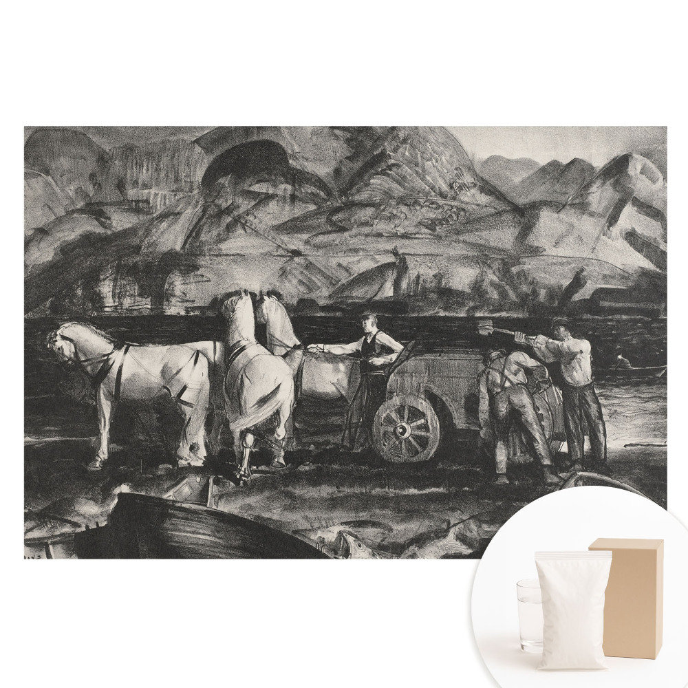 Papier peint intissé Travail en montagne avec les chevaux