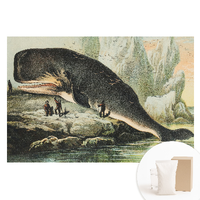 Papier peint photo sur tissu non tissé Cachalot échoué sur le rivage dans un cadre classique