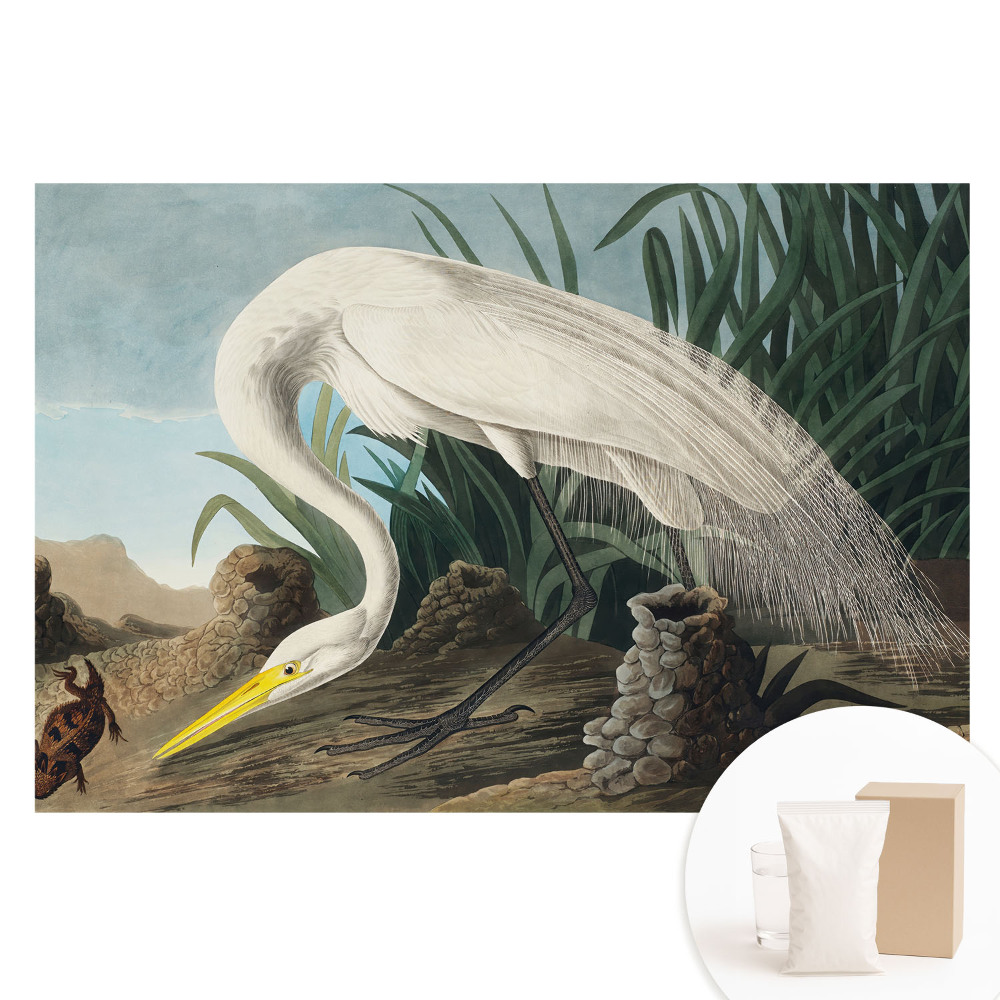 Papier peint intissé Un héron dans l'herbe