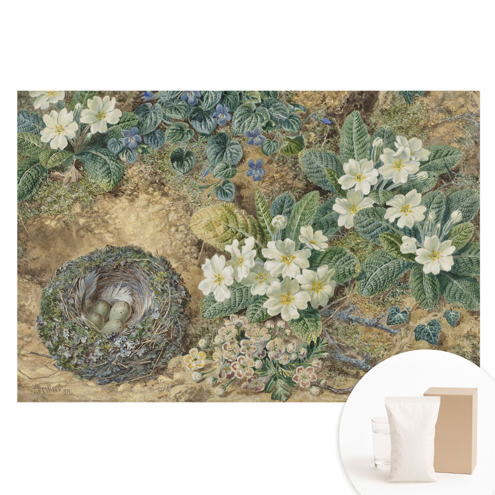 Papier peint photo grand format pour le mur Fleurs de primevère avec un nid d'oiseau