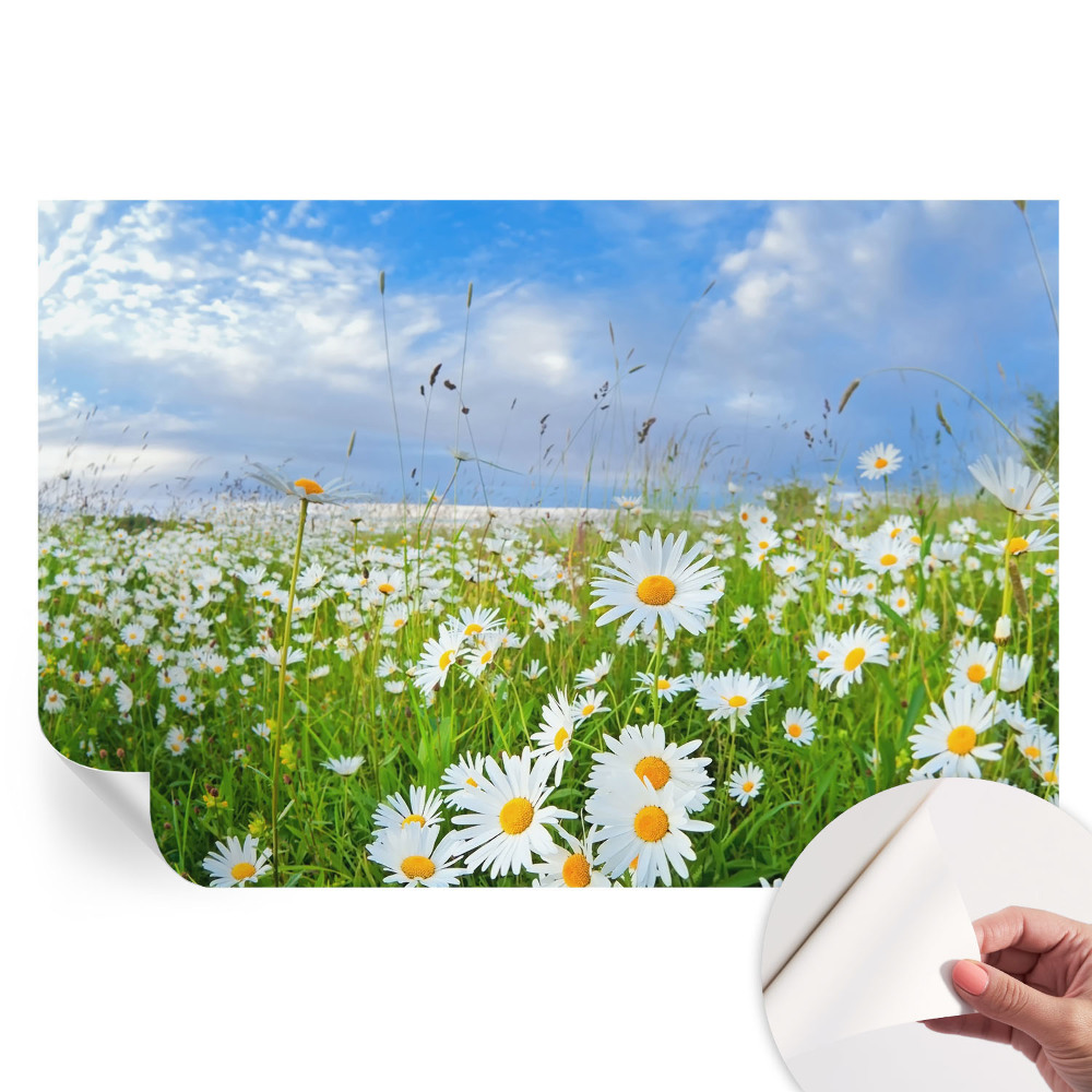 Papier peint photo autocollant pour la chambre prairie d'été