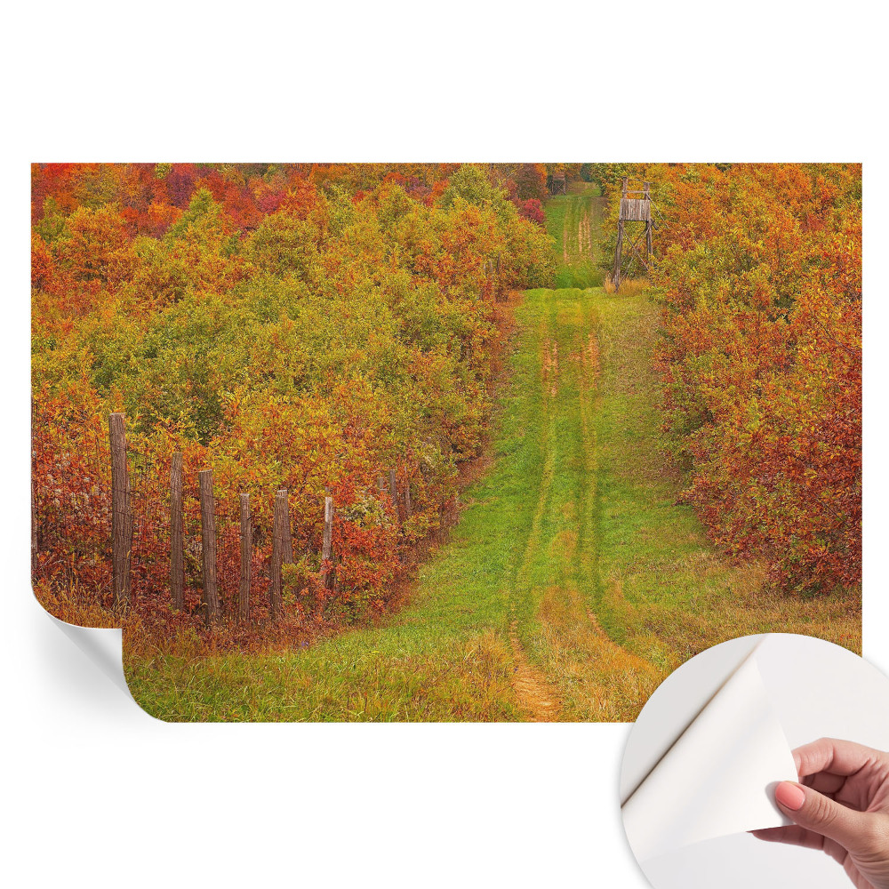 Papier peint photographique autocollant couleurs d'automne