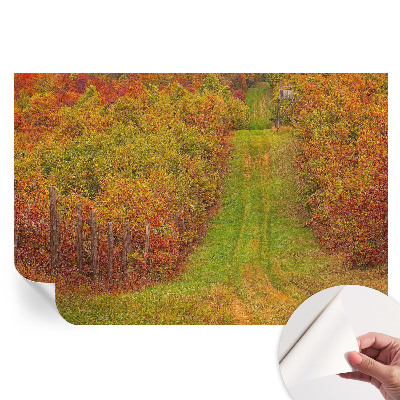 Papier peint photographique autocollant couleurs d'automne
