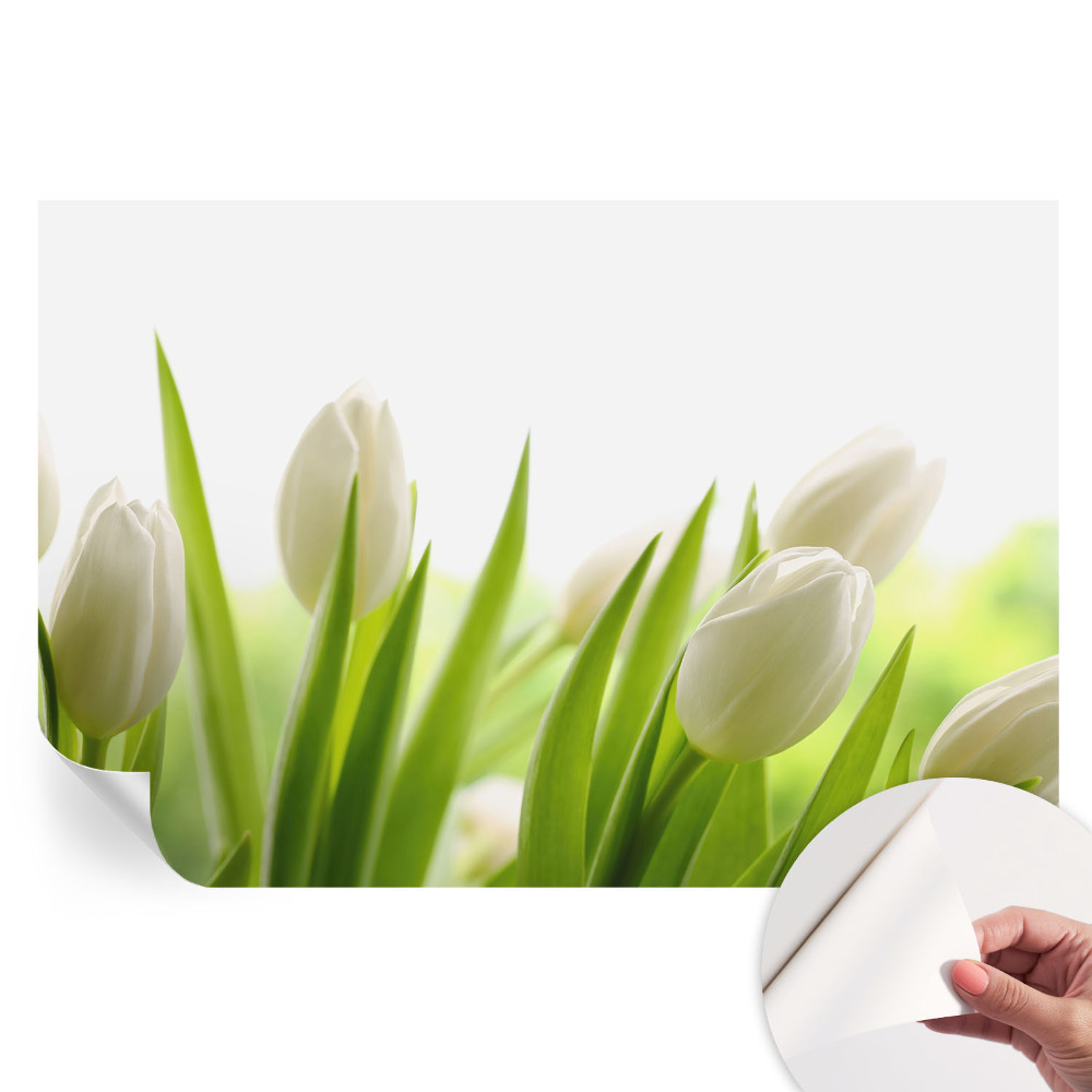 Papier peint photographique autocollant Tulipes blanches