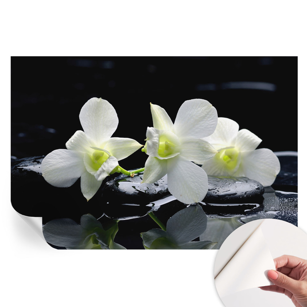 Fresque murale autocollante Fleurs et pierres