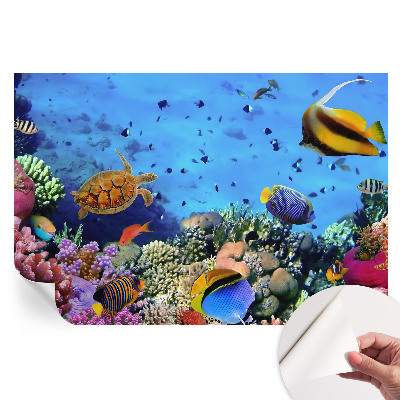 Papier peint photo moderne pour le salon récif corallien