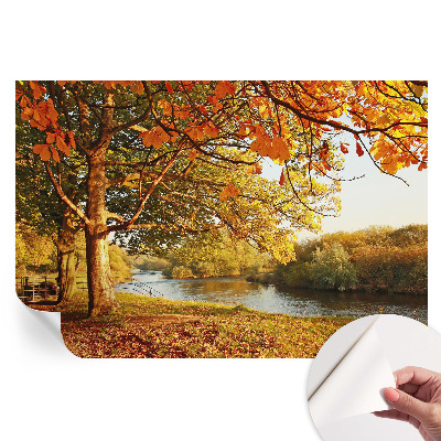 Papier peint photo moderne salon L'automne sur la côte