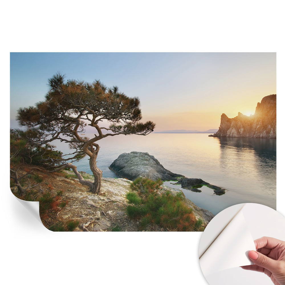 Papier peint photographique autocollant Nature paisible