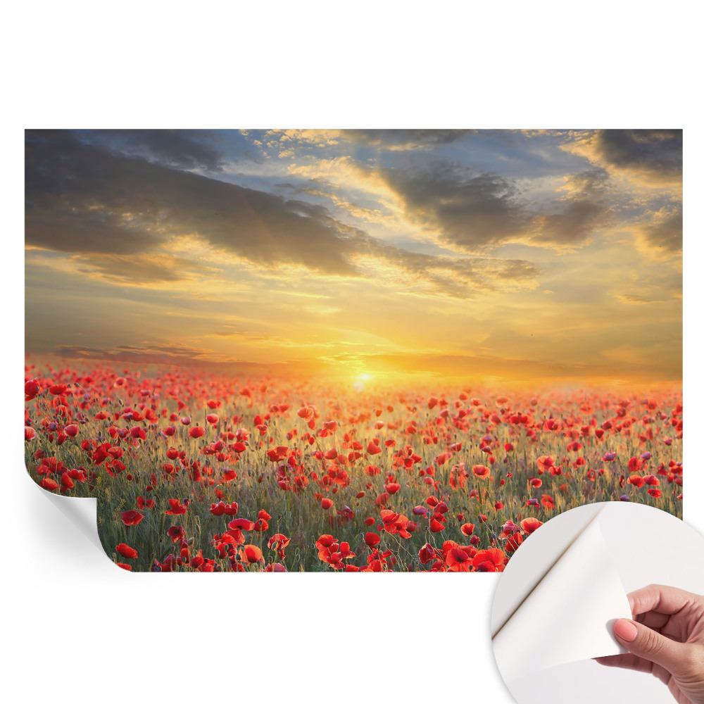 Papier peint photo autocollant Champ de pavots pour chambre