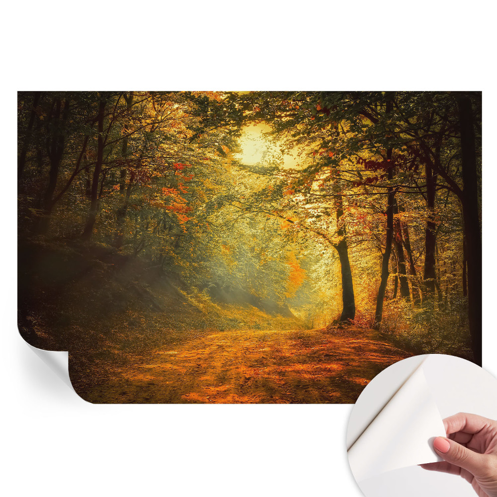 Papier peint photographique autocollant paysage d'automne
