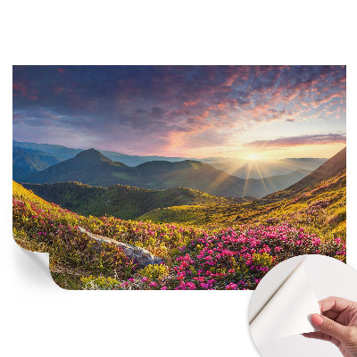 Papier peint autocollant pour salon motif panorama montagneux
