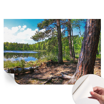 Papier peint autocollant pour le salon paysage forestier
