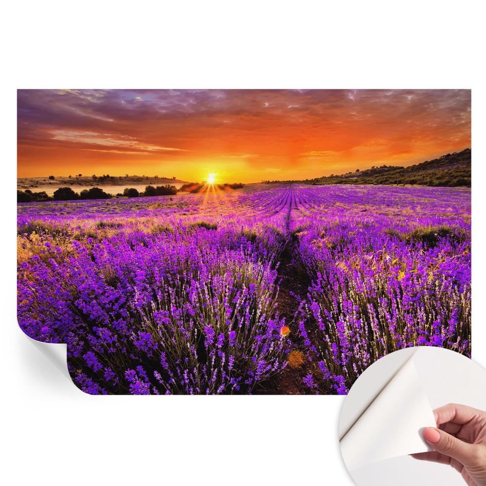 Fresque murale autocollante Coucher de soleil lavande