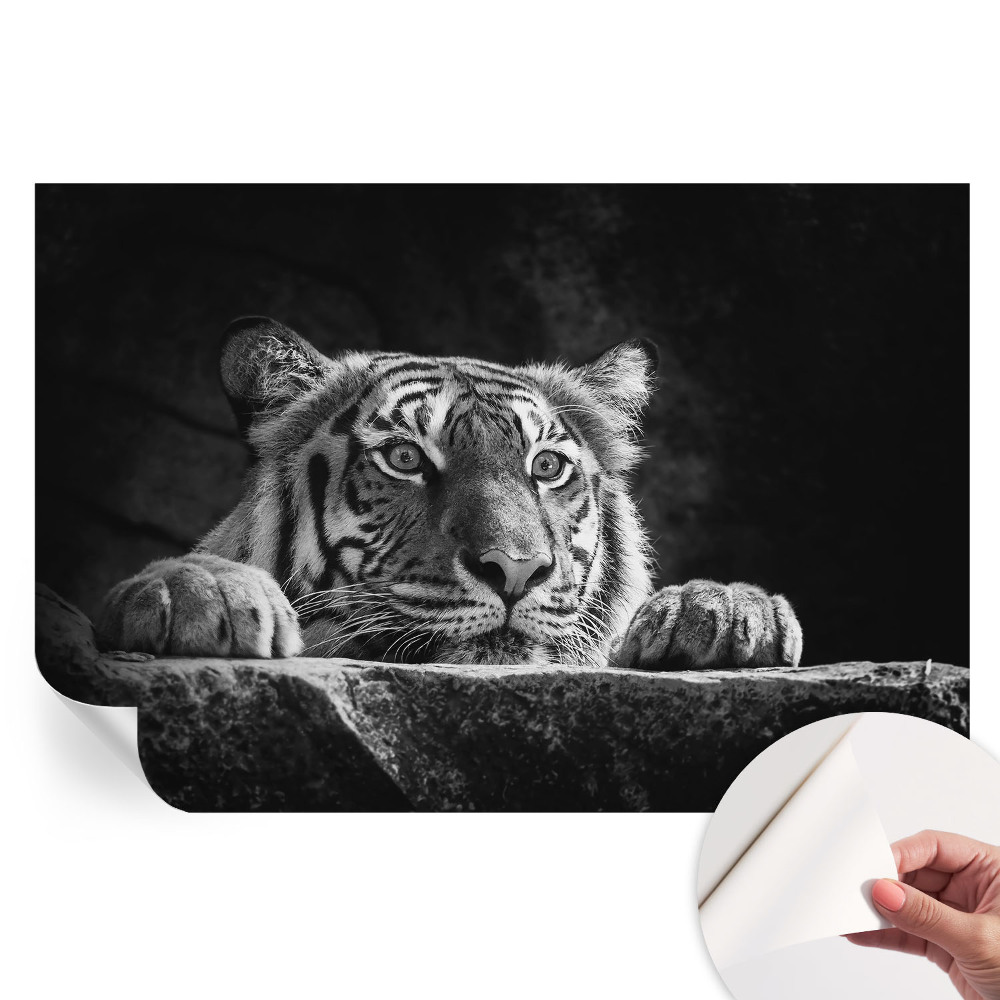 Papier peint autocollant pour le salon Regard prédateur